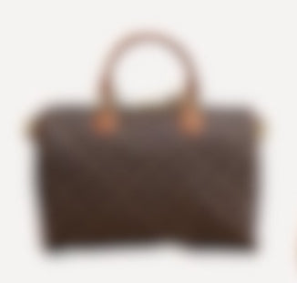 L0ui V Small Hand bag
